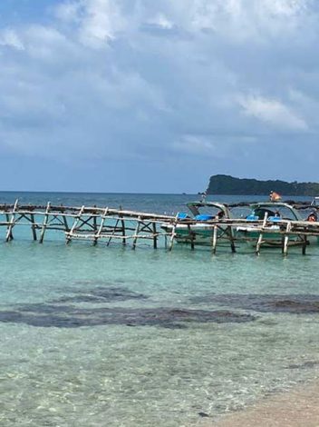 Vn Phu Quoc  South Topics Photo