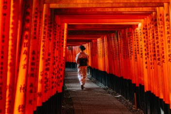 Santuario Fushimi Inari, Kyoto — Japón Rascacielos y Tatamis con Hong Kong